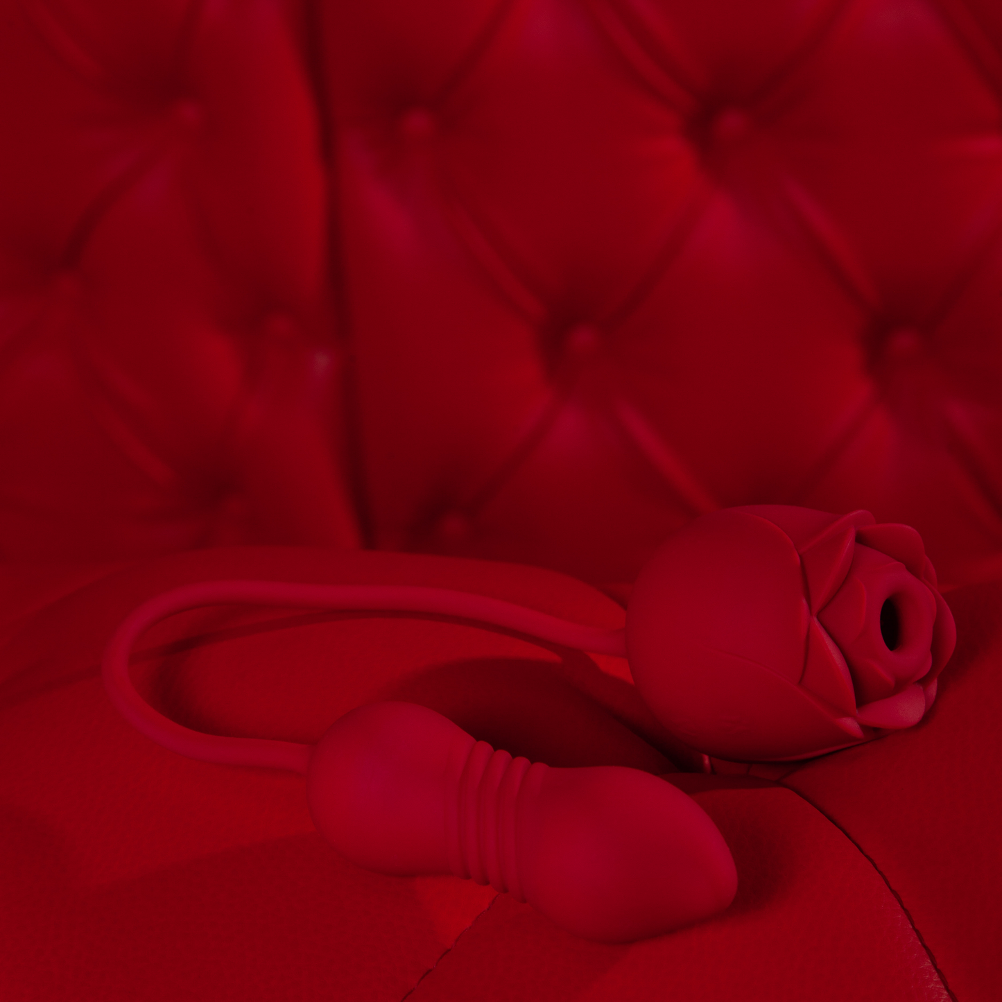 Rosa